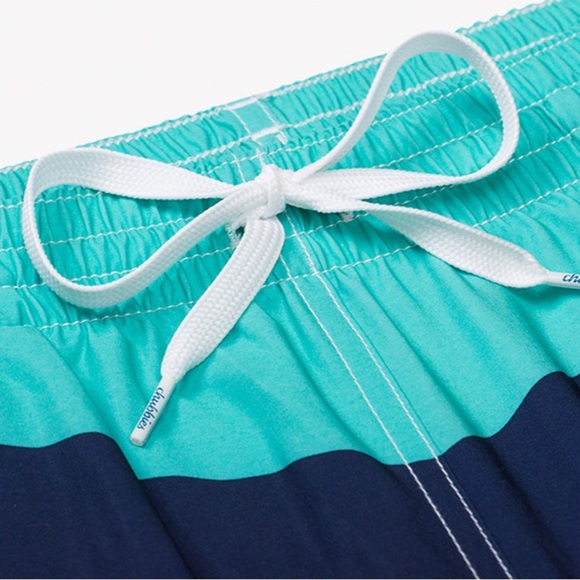 CHUBBIES The Aquatic Libations Trunks Size 2X Large 5.5” Summer colorful striped - Picture 4 of 12